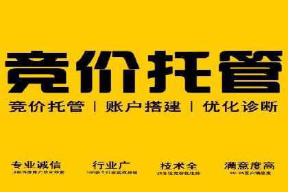 SEM优化师成功案例：助力企业品牌推广